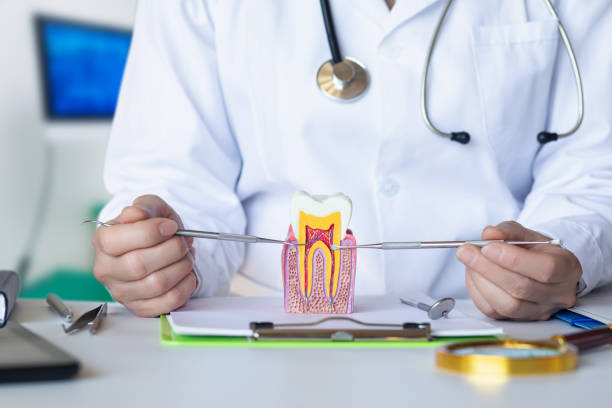 Best Emergency Treatment for Dental Infections or Abscesses in Carlisle, KY